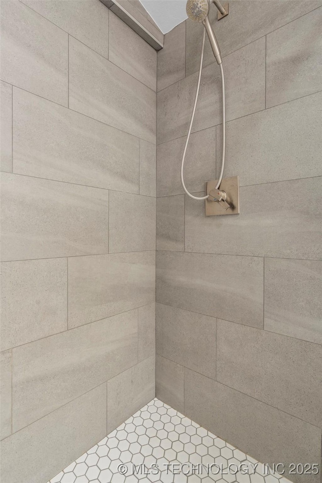 18342 S 132nd E Ave, Bixby, OK 74008 - bathroom with tiled shower