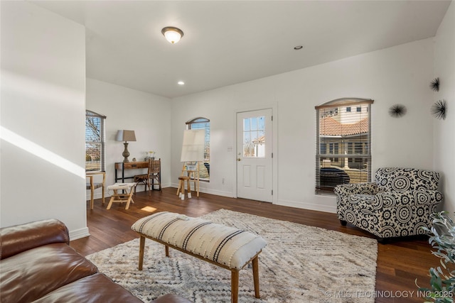 living room featuring dark hardwood / wood-style flooring