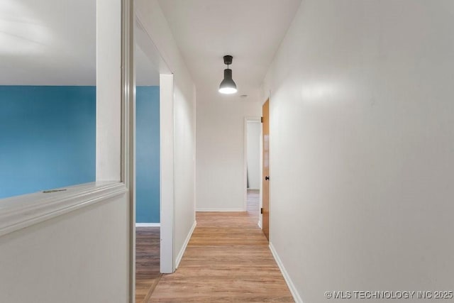 hall with light hardwood / wood-style flooring