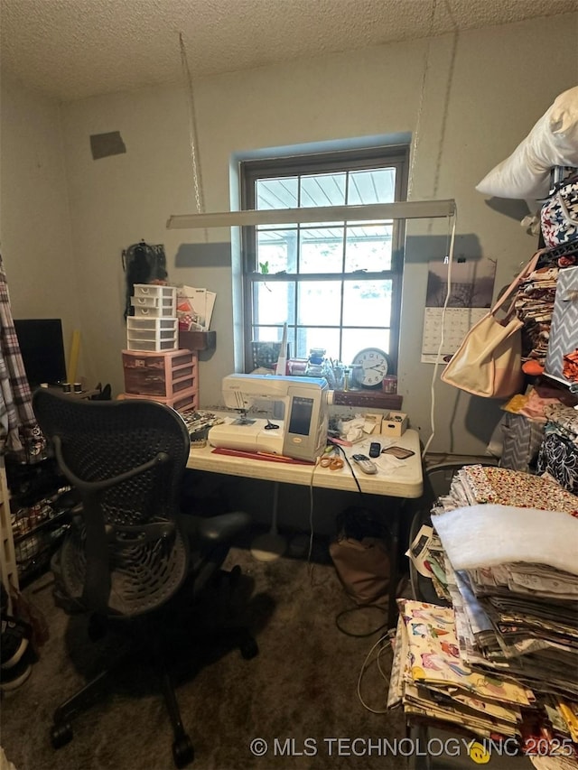 misc room featuring a textured ceiling and carpet flooring