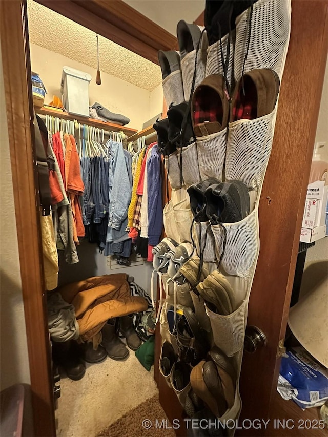 view of spacious closet