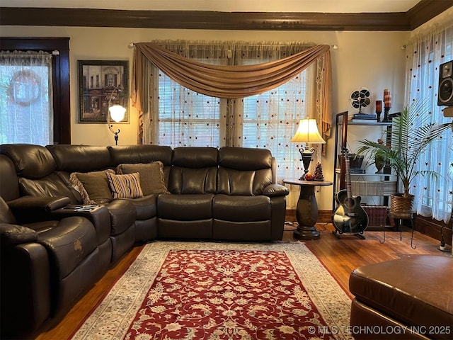 living room featuring ornamental molding and hardwood / wood-style floors