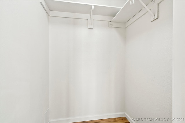 spacious closet with wood-type flooring