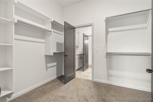 spacious closet with light colored carpet