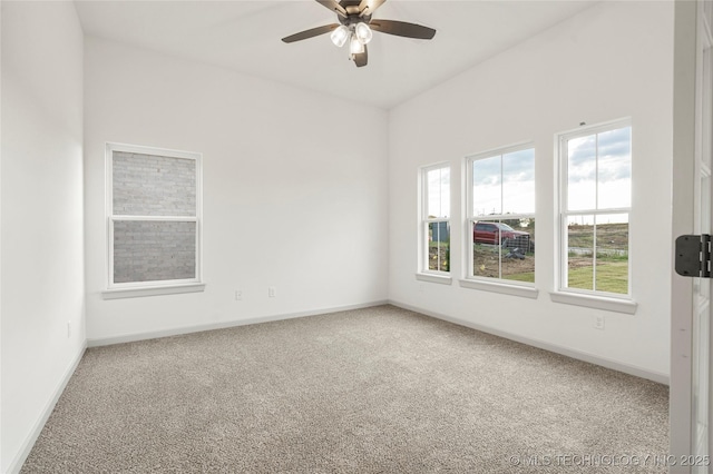 spare room with ceiling fan and carpet flooring