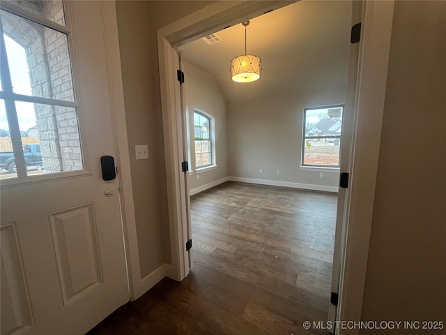 interior space with lofted ceiling, a wealth of natural light, and dark hardwood / wood-style flooring