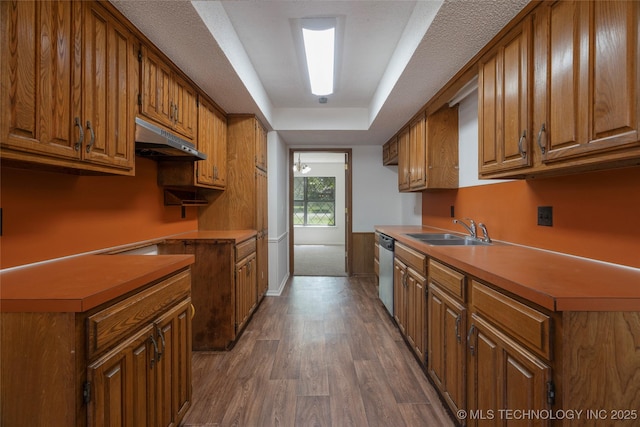 kitchen with sink, dishwasher, and dark hardwood / wood-style flooring