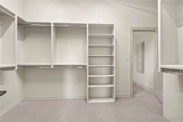 spacious closet featuring light colored carpet