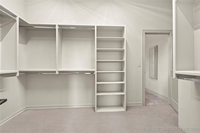 spacious closet featuring carpet