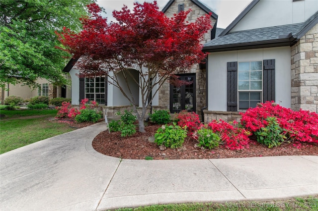 doorway to property featuring stone siding, stucco siding, and a shingled roof