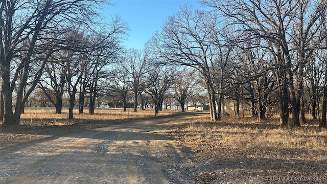 view of road with a rural view