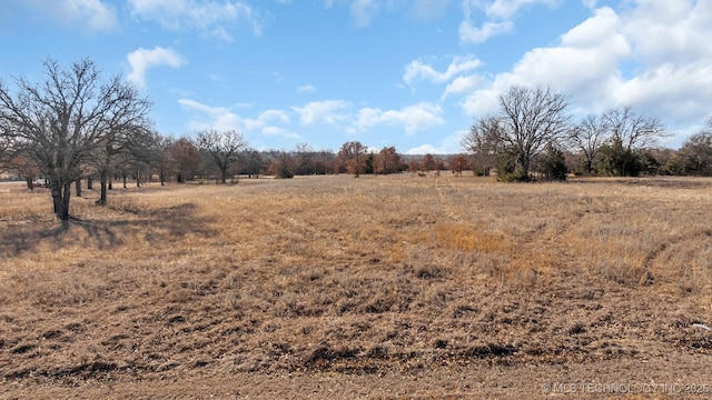 view of nature featuring a rural view