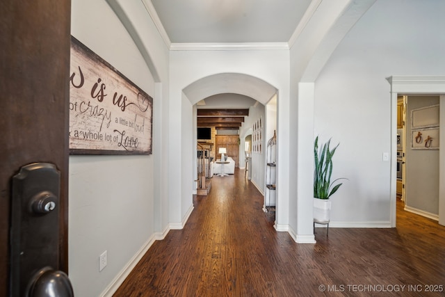 corridor featuring ornamental molding and dark hardwood / wood-style flooring