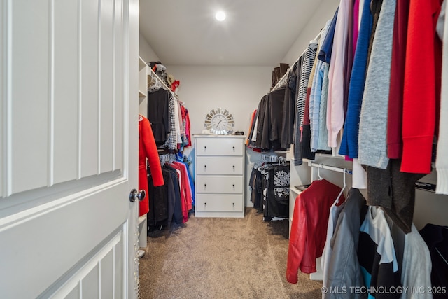 walk in closet featuring light colored carpet