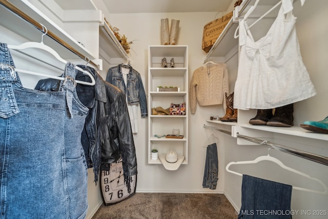 walk in closet featuring carpet flooring