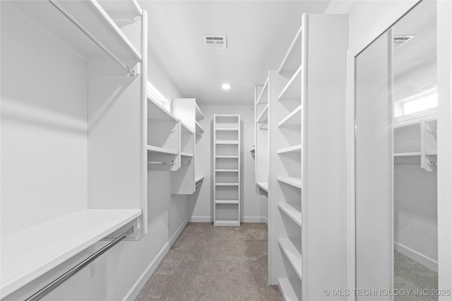 spacious closet with light colored carpet