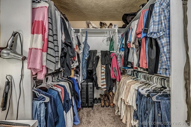 walk in closet with carpet flooring