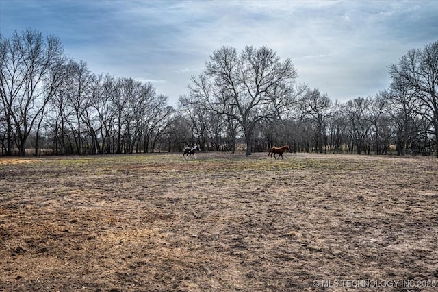 view of yard with a rural view