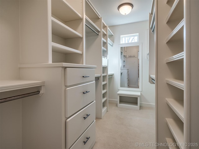 walk in closet with light carpet