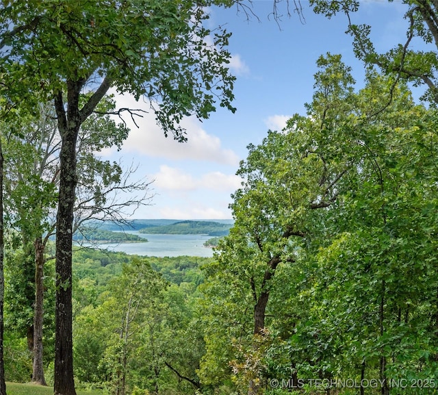 property view of water