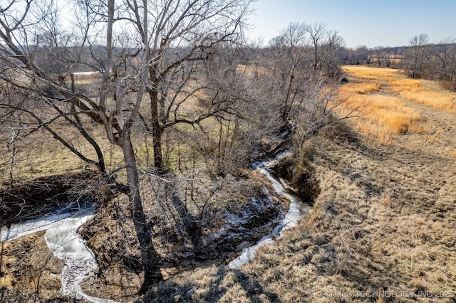 view of local wilderness