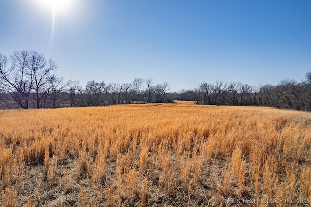 view of landscape with a rural view