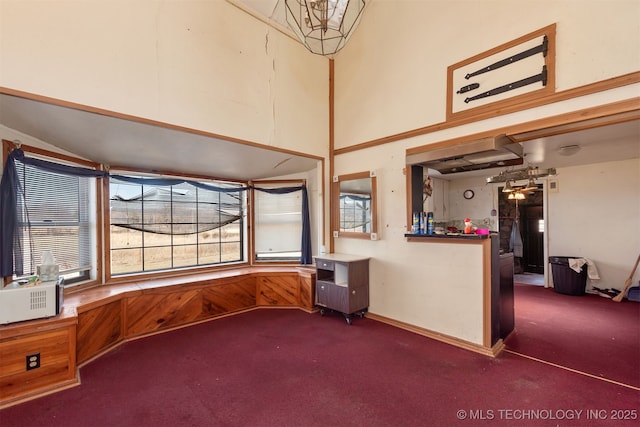 interior space with dark colored carpet