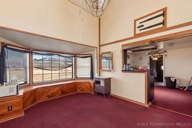 16610 S 4220th Rd, Claremore, OK 74017 - interior space featuring dark carpet and a towering ceiling