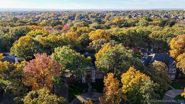 bird's eye view