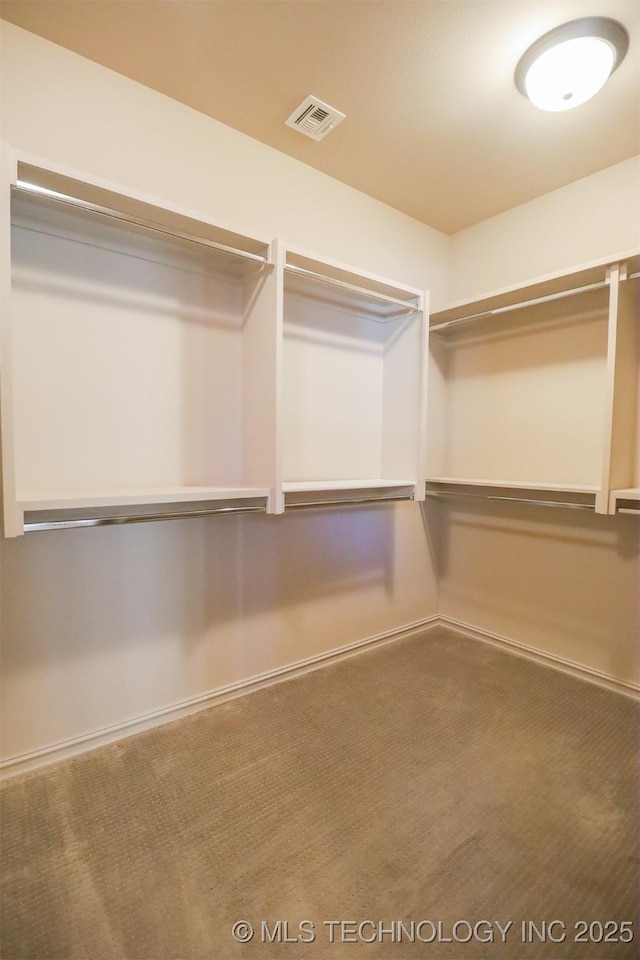 walk in closet featuring carpet flooring