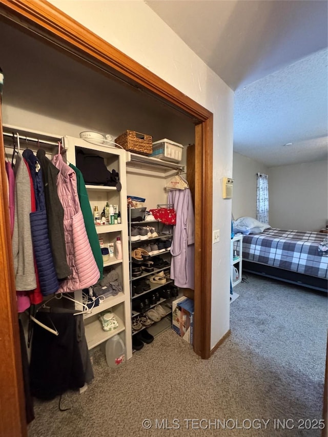 interior space featuring carpet flooring