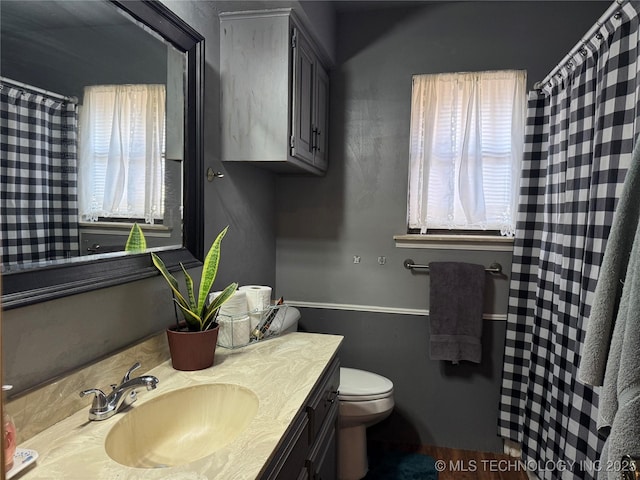 bathroom featuring vanity and toilet