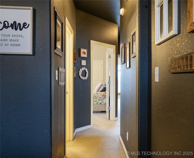 hallway with light carpet