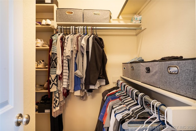 view of walk in closet