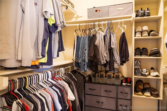 view of spacious closet