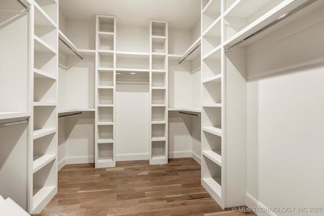 walk in closet with wood-type flooring