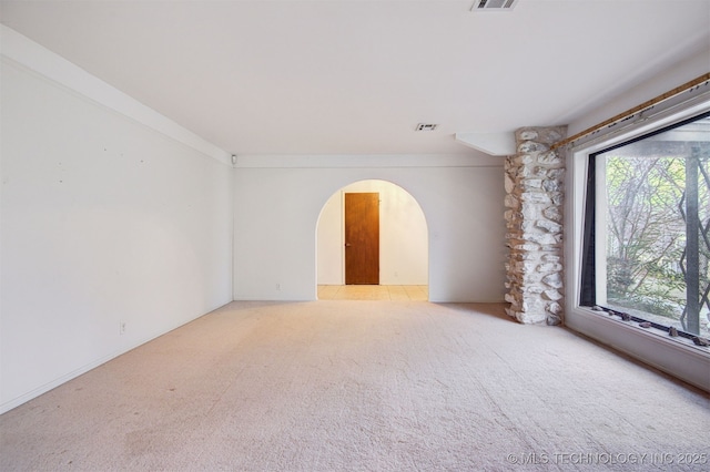 empty room featuring a wealth of natural light and light carpet