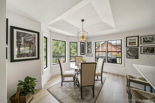 dining space with a tray ceiling and light hardwood / wood-style flooring