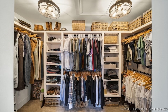 walk in closet with carpet