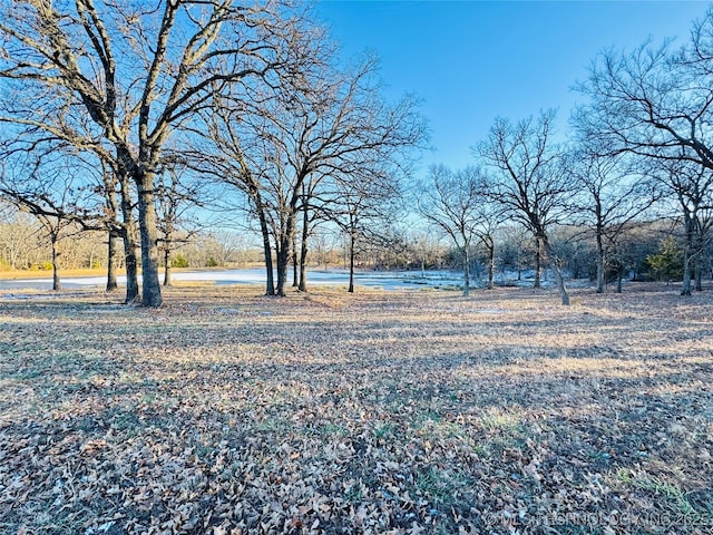 view of yard with a water view