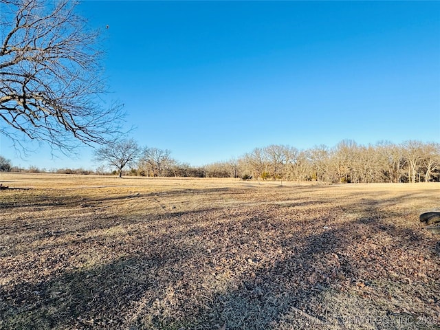 view of local wilderness featuring a rural view