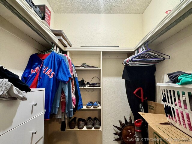 view of walk in closet