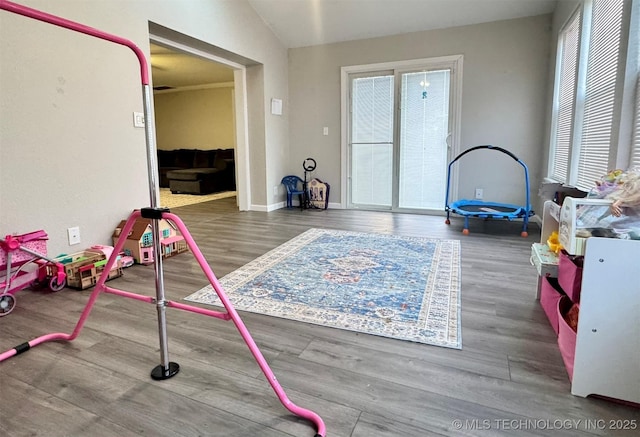 playroom featuring hardwood / wood-style floors