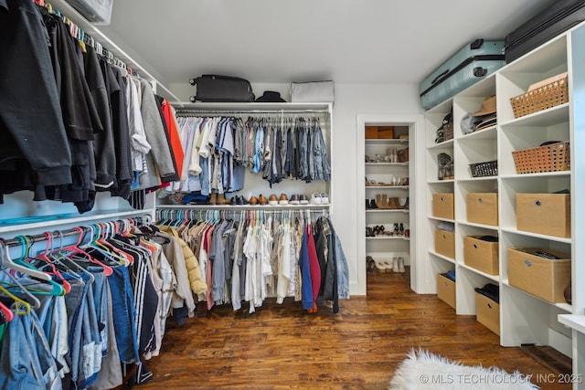 walk in closet with dark hardwood / wood-style floors