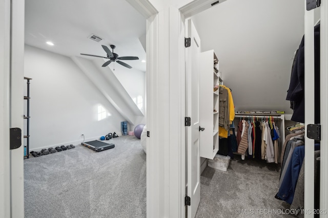 spacious closet featuring ceiling fan, lofted ceiling, and carpet flooring