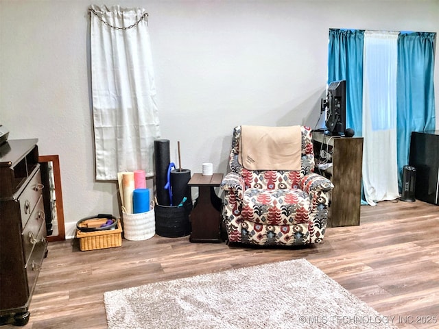 living area with wood finished floors