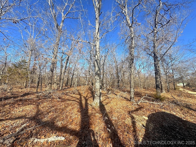 view of local wilderness