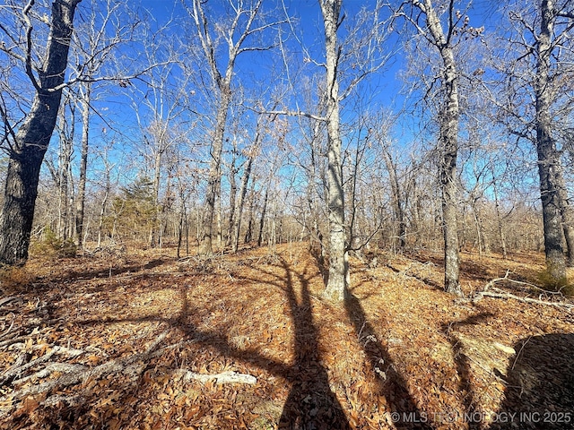 view of local wilderness