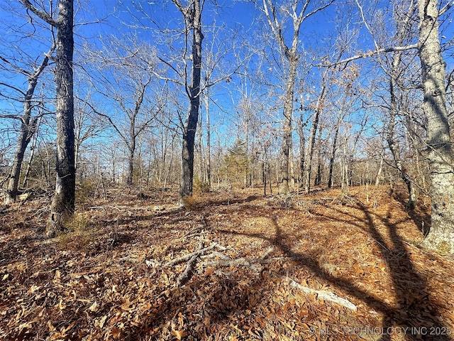 view of nature