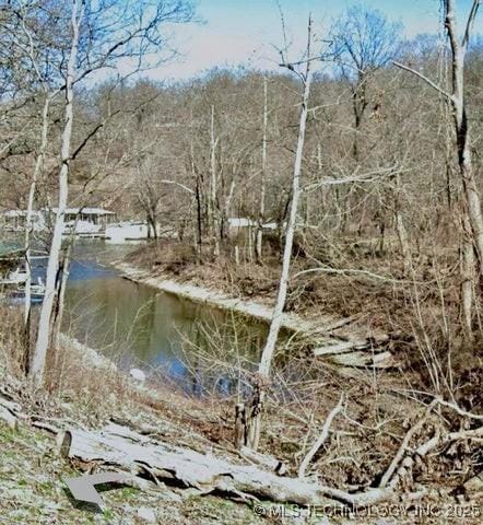 view of landscape featuring a water view